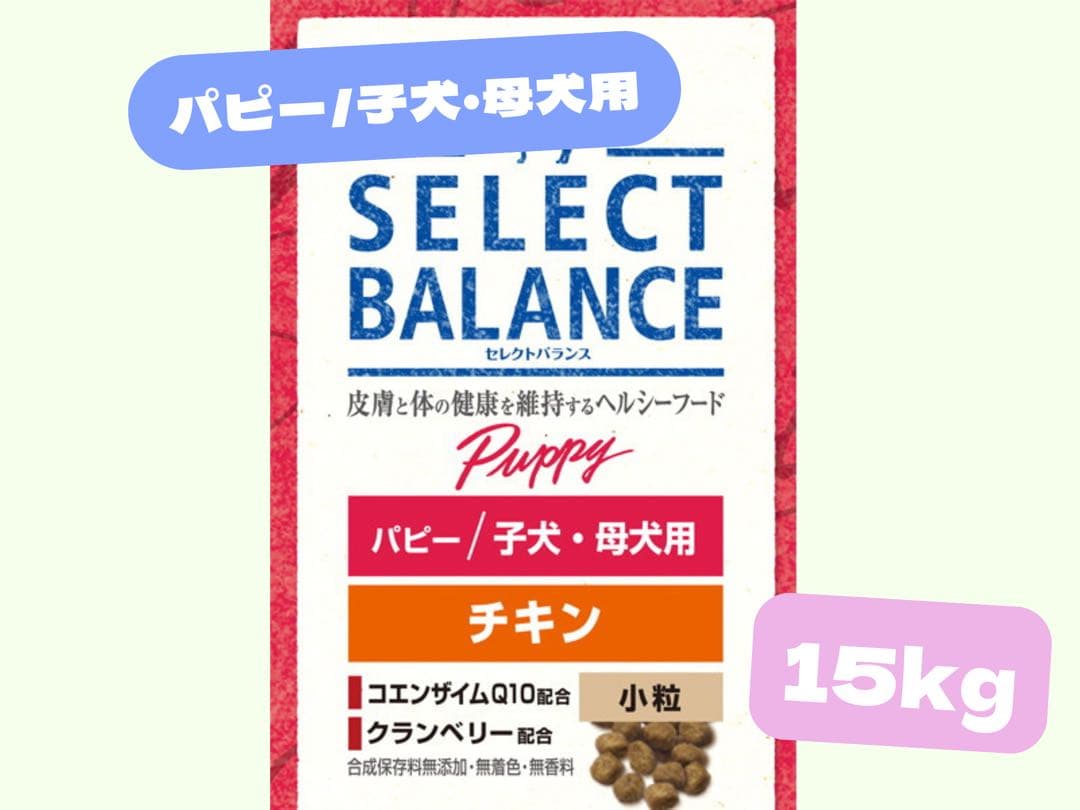 カズ
