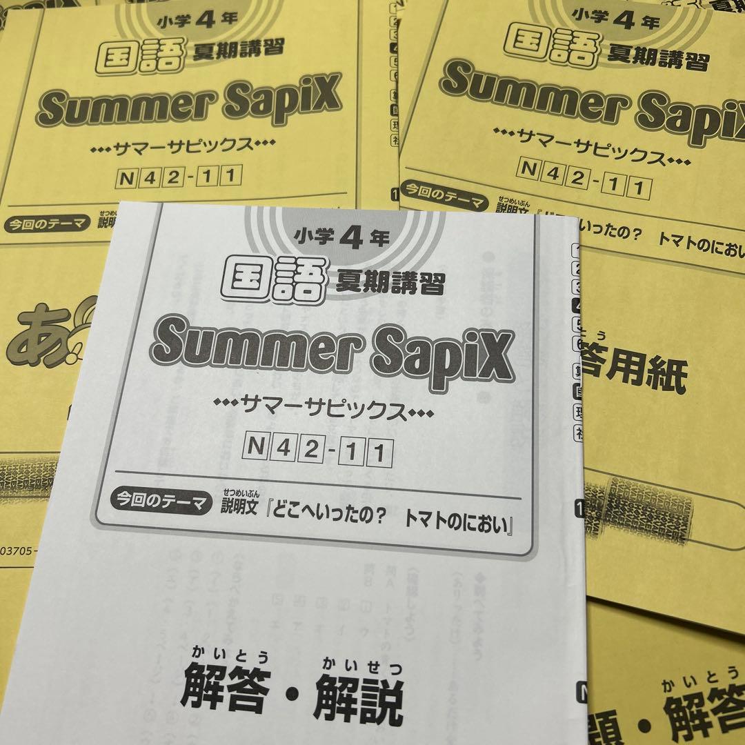㉓A 未記入　サピックス　SAPIX 4年　国語　夏期講習　サマーサピックス