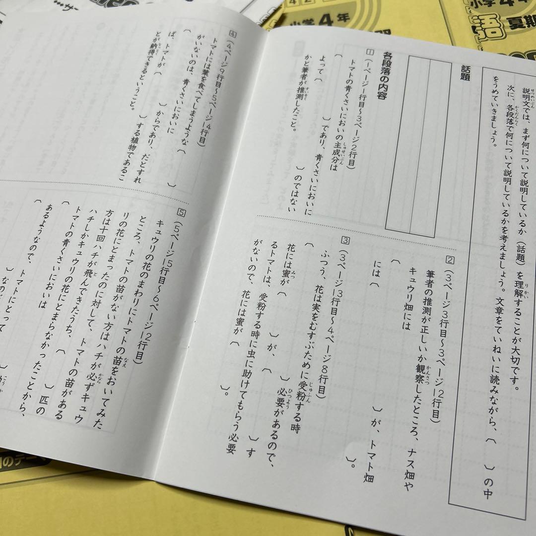 ㉓A 未記入　サピックス　SAPIX 4年　国語　夏期講習　サマーサピックス