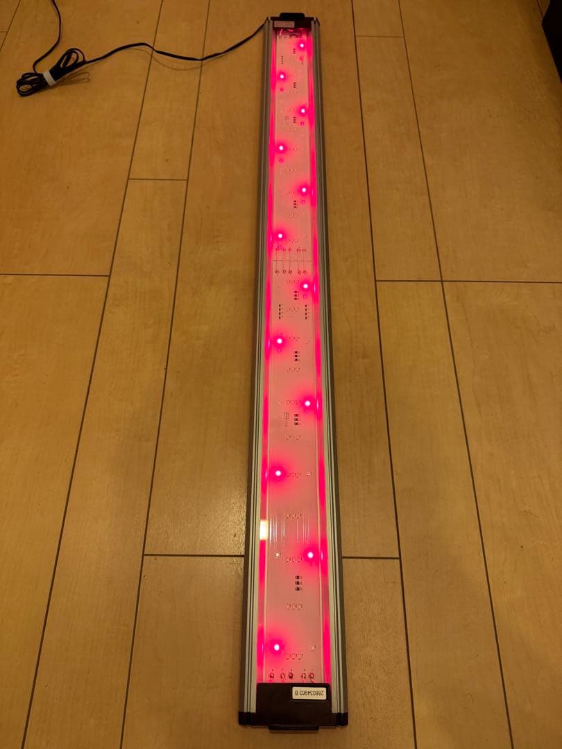 kanako　GEX CLEAR LED Power III 900④⑤