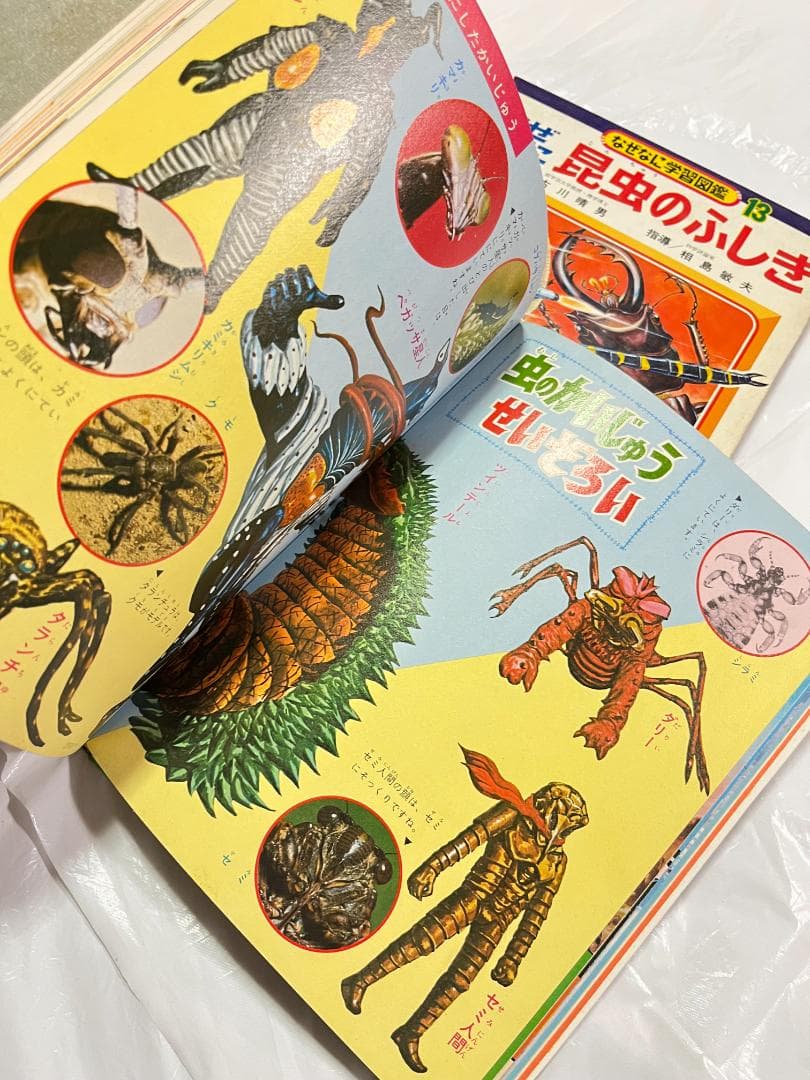 帯付き 小学館 なぜなに学習図鑑 13 昆虫のふしぎ