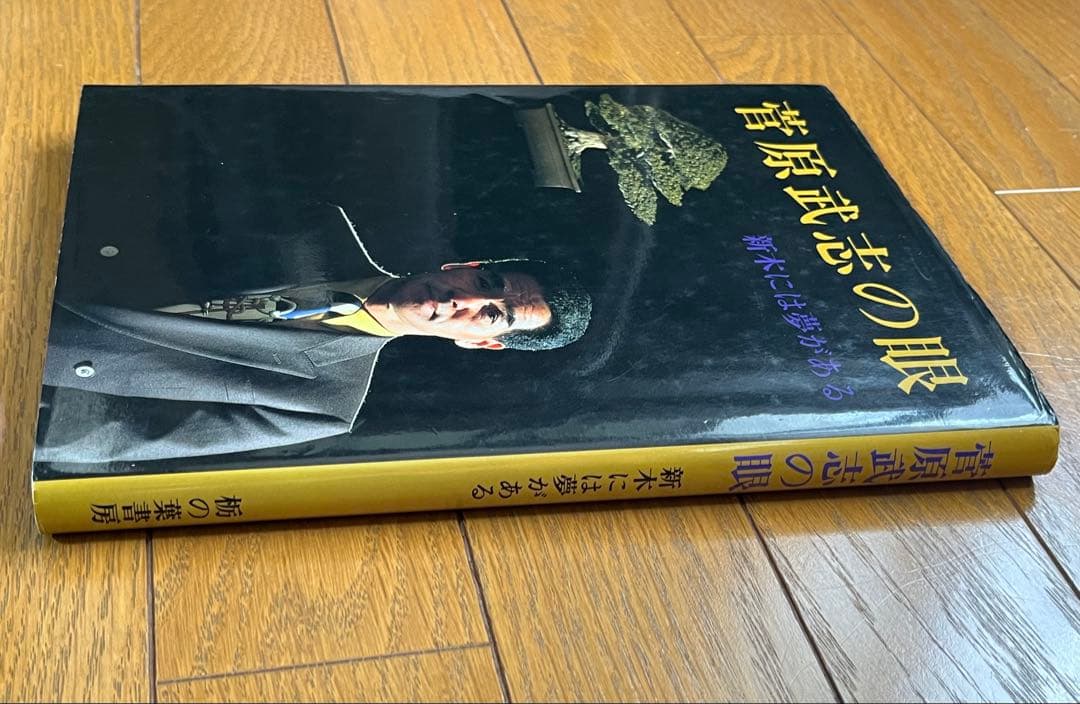 盆栽 さつき 菅原武志の眼 新木には夢がある