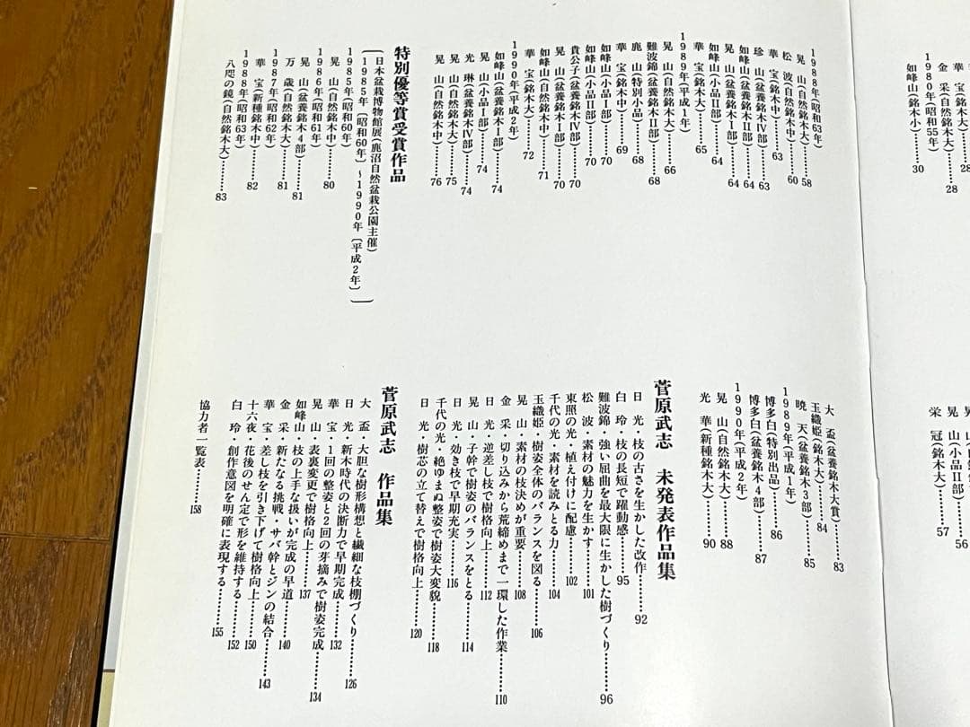 盆栽 さつき 菅原武志の眼 新木には夢がある