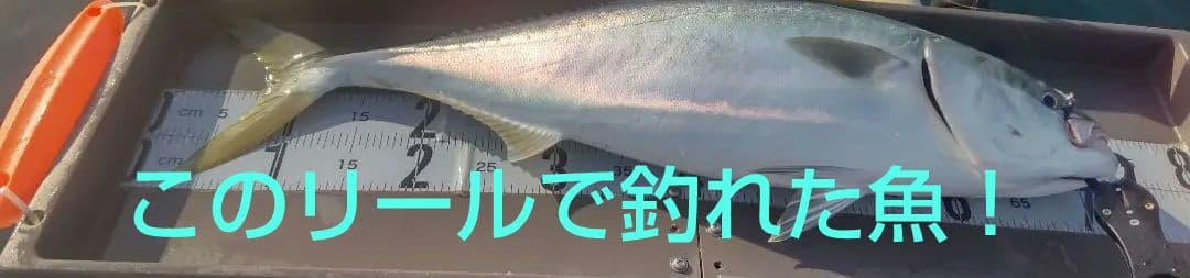 Daiwa FUNE XT 150H ベイトリール