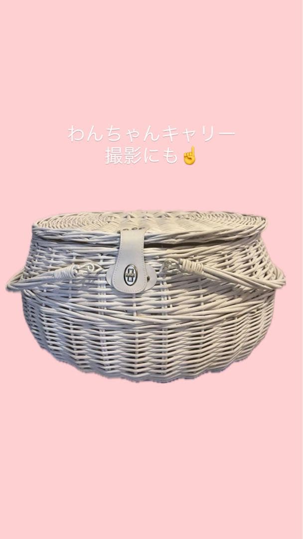 犬 猫 ホワイトバスケット 蓋付き 服