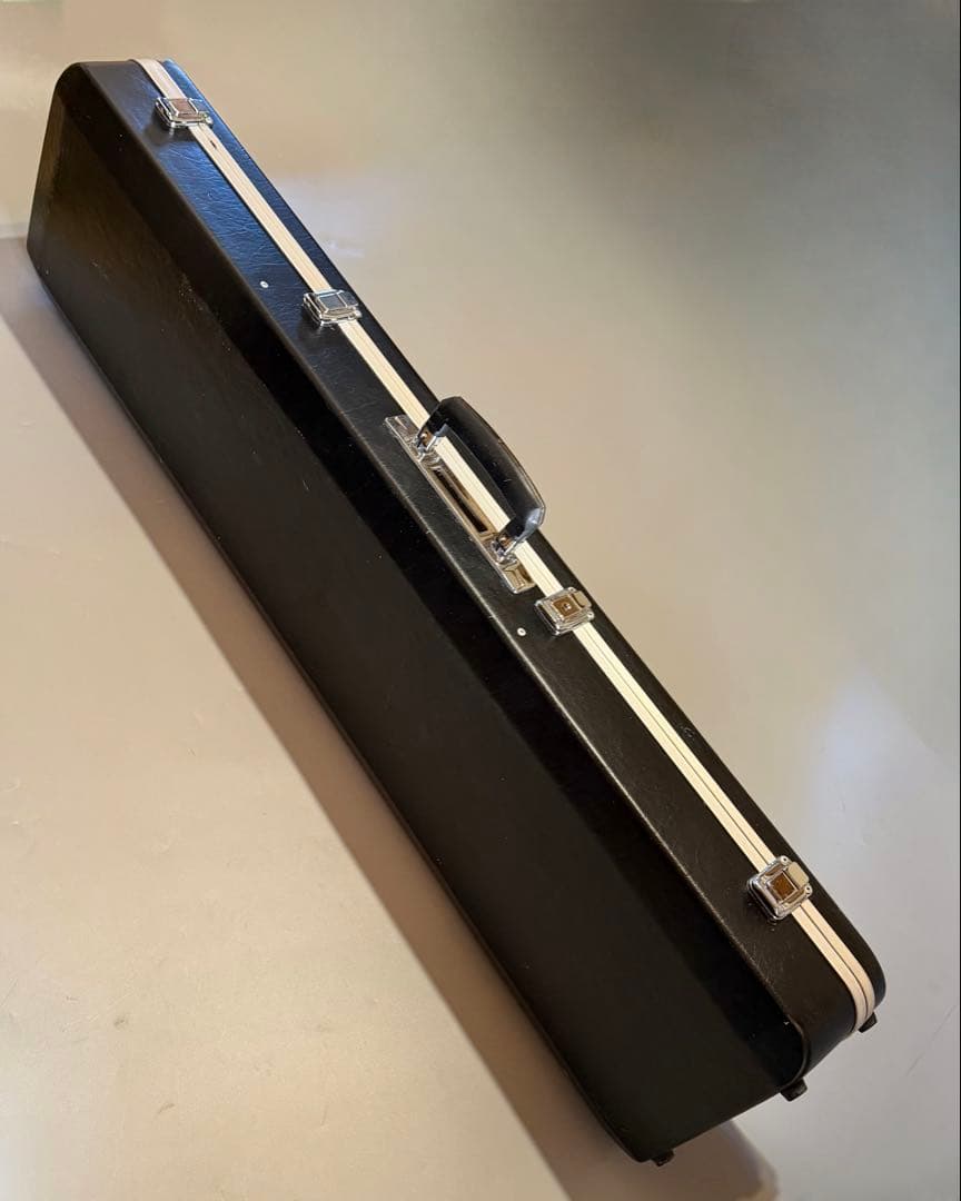 三味鉄弦　レア楽器　ピックアップ装備　ハードケース付