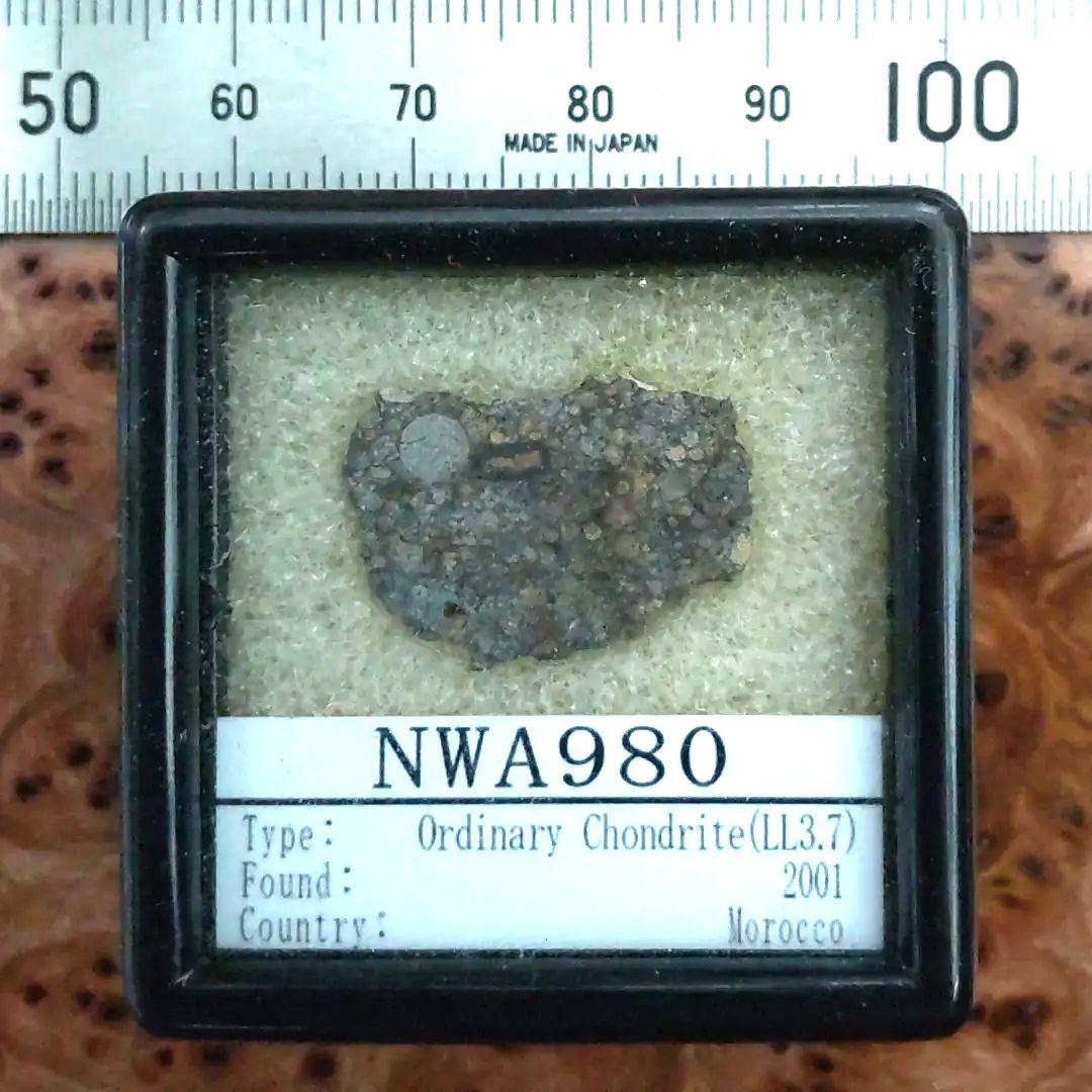 コンドリュールが綺麗な、NWA980隕石標本