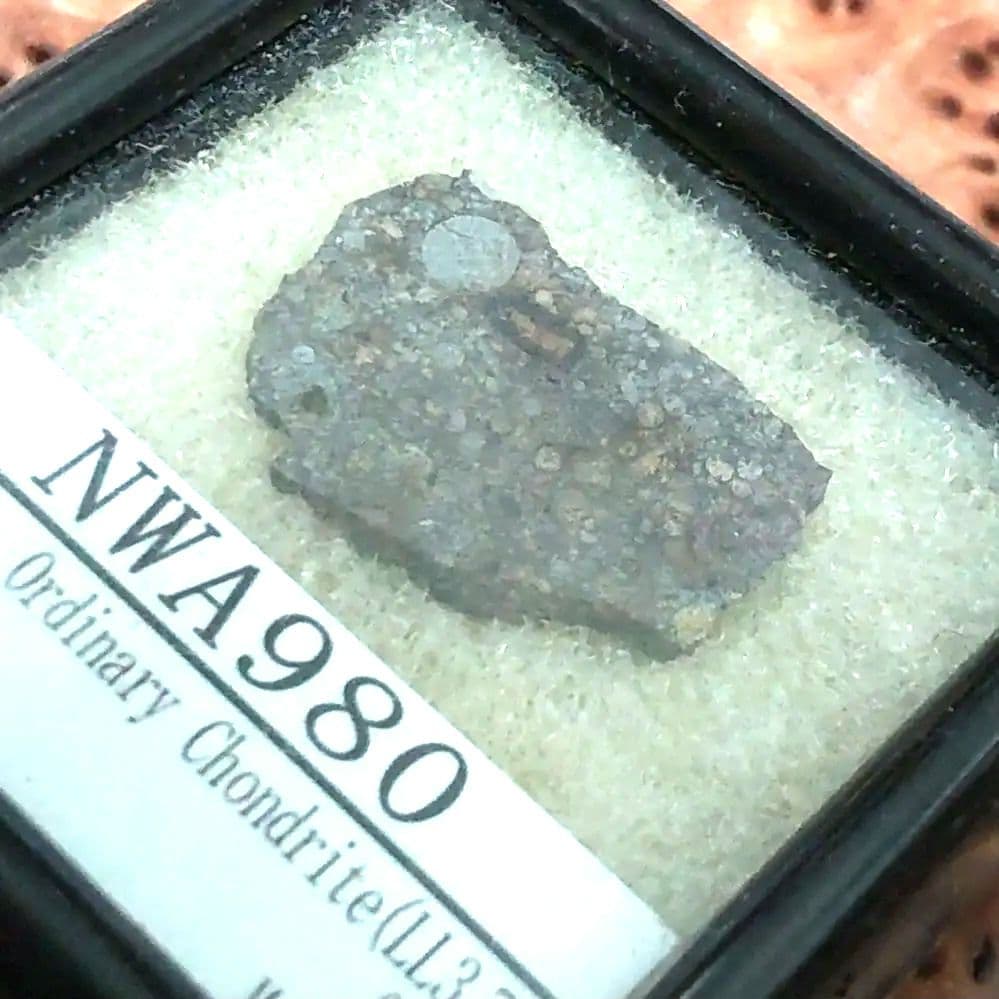 コンドリュールが綺麗な、NWA980隕石標本