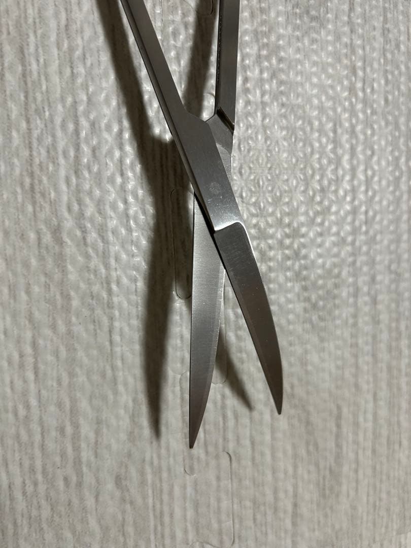 ADA プロシザース・ヌード