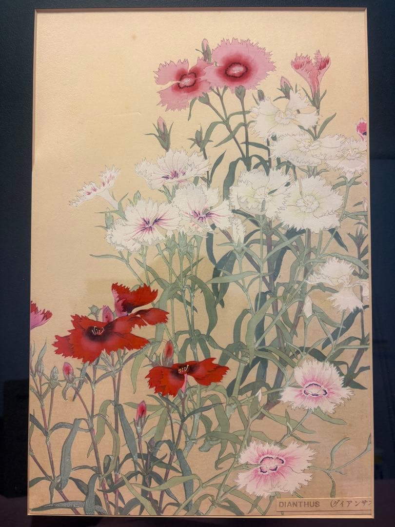 【真作】木版画 錦絵 浮世絵 大判 4点セット 千種掃雲『洋草花譜』 久保田米僊