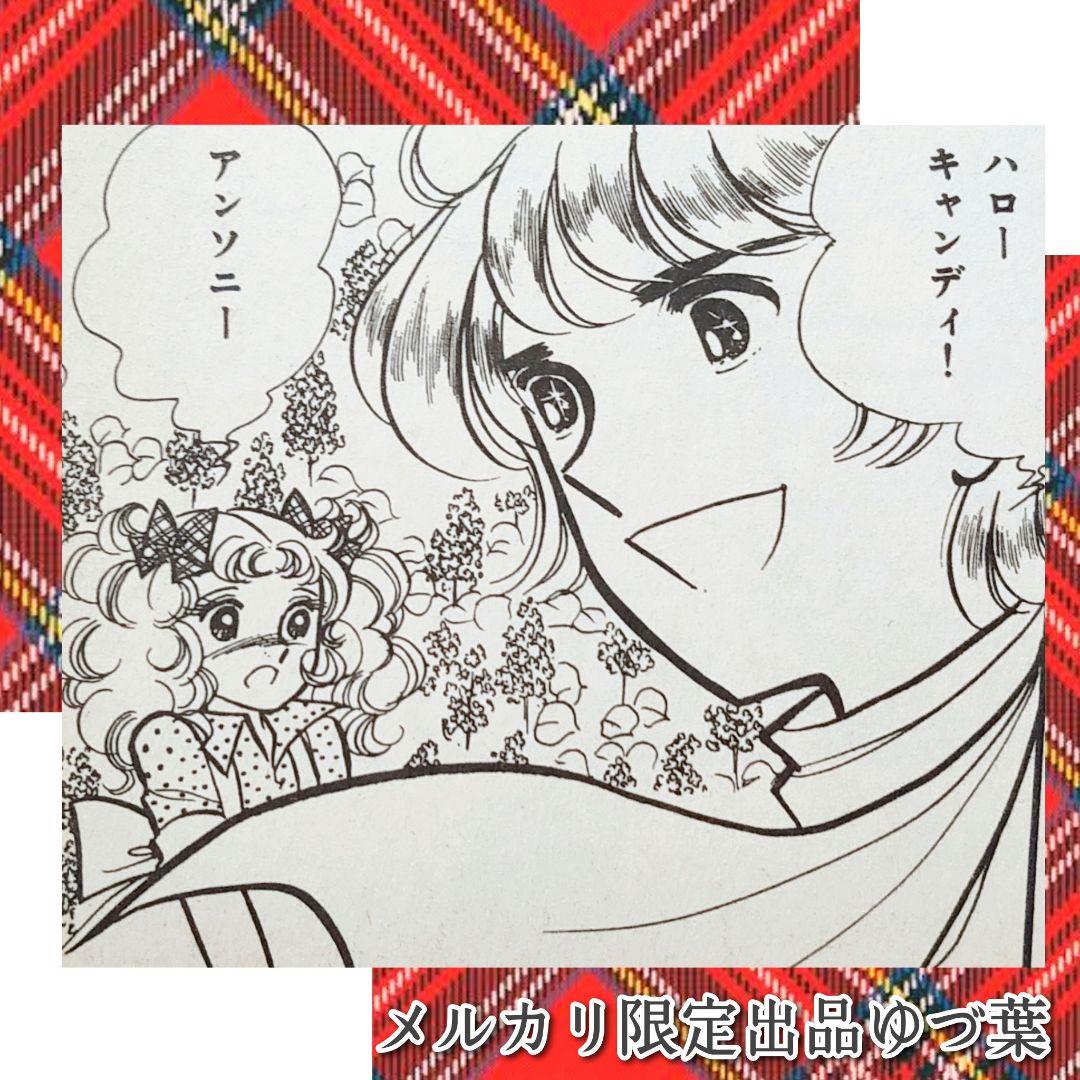 【ラスト1点‼️】希少プレミア級✨キャンディ♡キャンディ 全巻 いがらしゆみこ