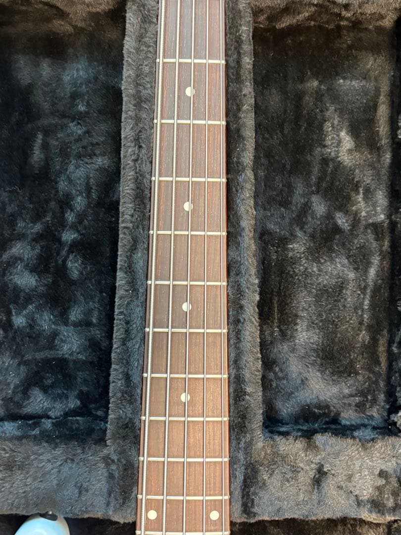 ベース Kikuchi Guitars Custom Bass 5