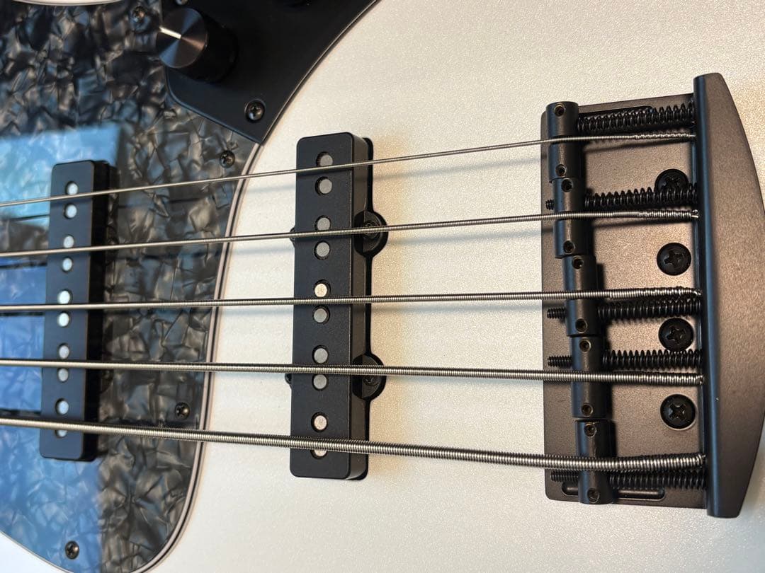 ベース Kikuchi Guitars Custom Bass 5