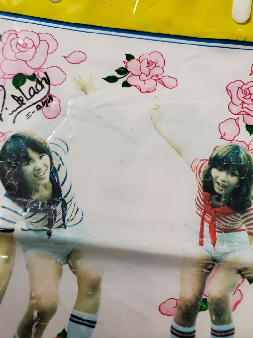 ピンク・レディー 昭和アイドル 写真 ビニールバック