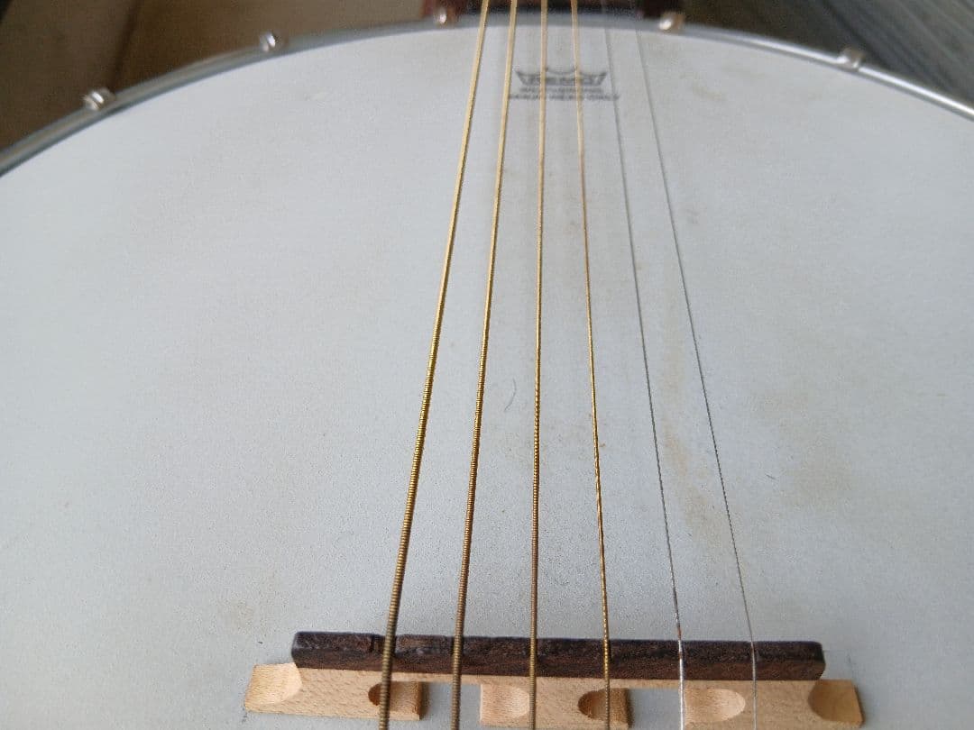 Blanton.BB15G.6Stringsバンジョー6弦(ハードケース付)