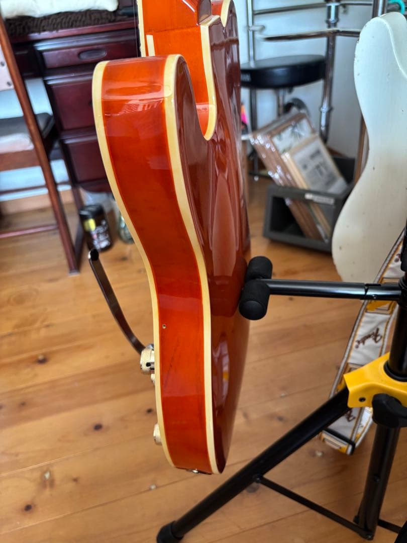 fender Telegretscher White Chicken モデル
