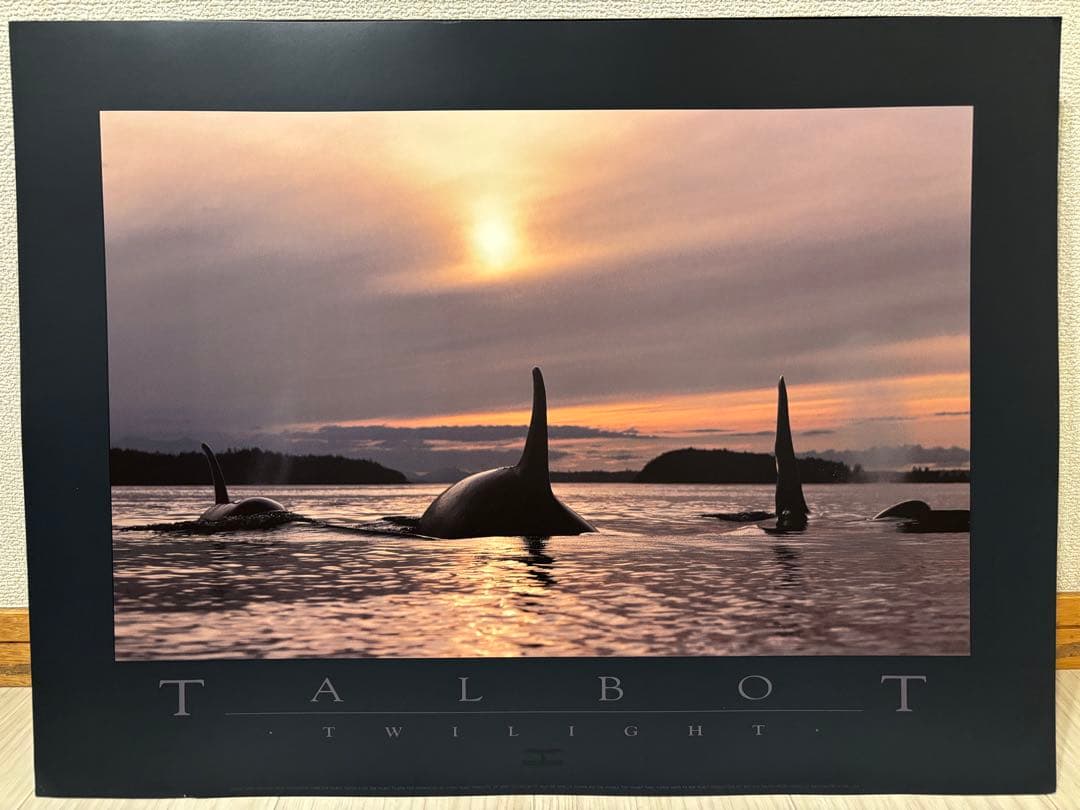 Bob Talbot 80s vintage poster 10種セット