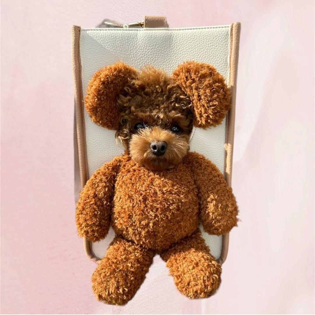 Hunny couture ペットキャリーバック 顔出しぬいぐるみバッグ　正規品