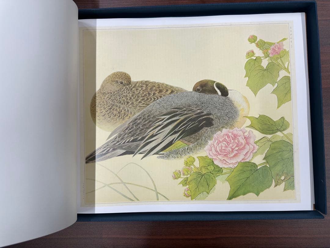 土岡春郊 鳥類画集「鳥類写生図譜」完全複刻版 全4冊揃 小泉勝巳