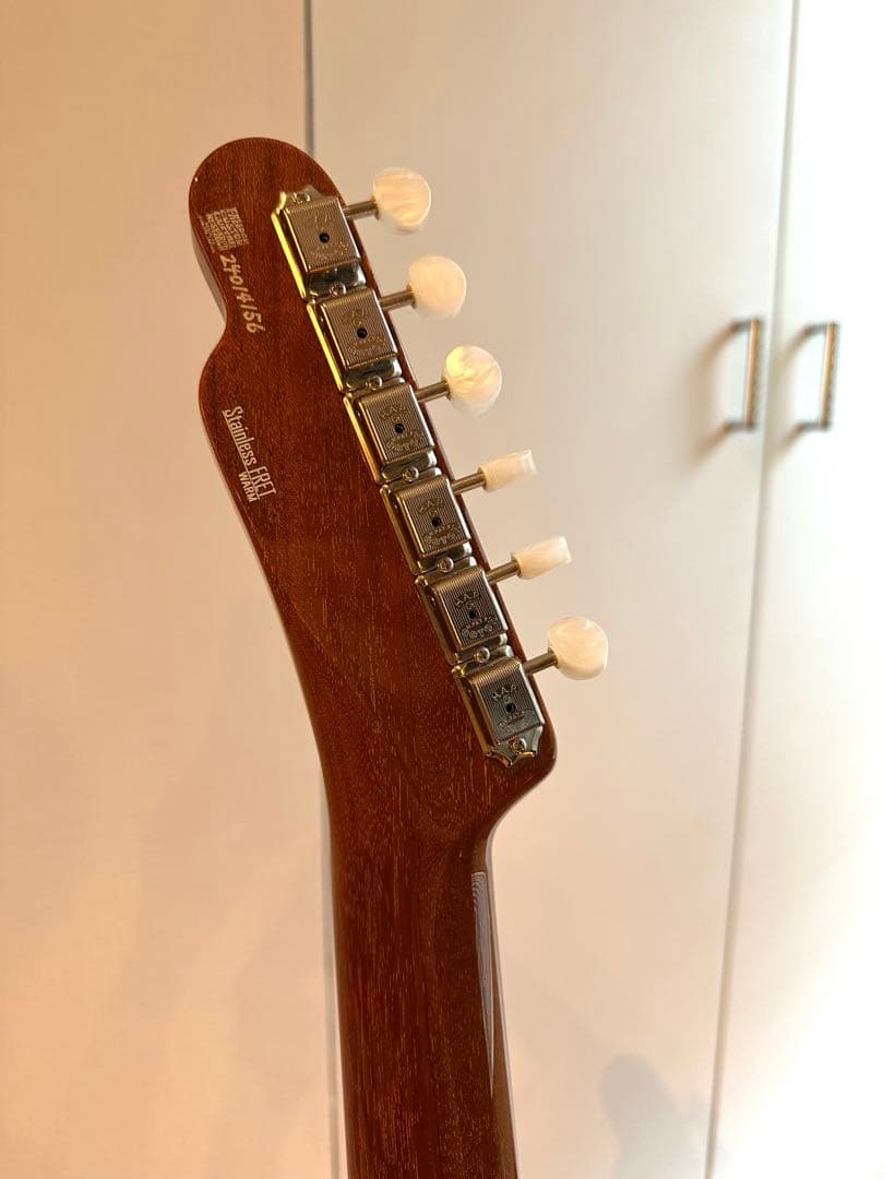 ギター FREEDOM / TE Green Pepper