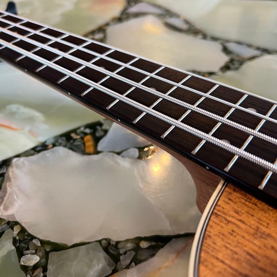 新品 調整済 KALA ウクレレベース UBASS-JYMNFS