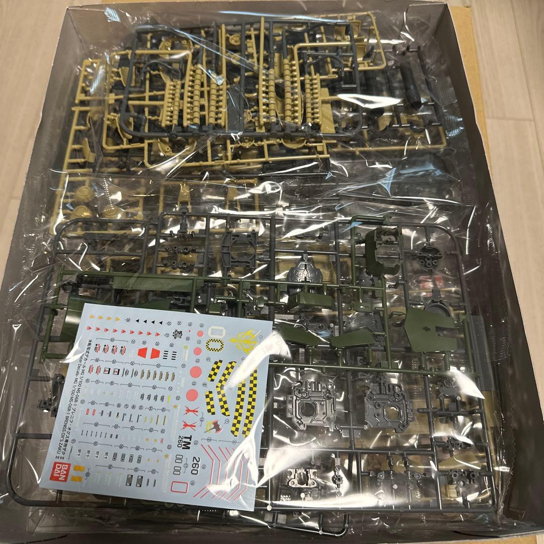 MG 1/100 ブレニフ・オグス専用　ザクII