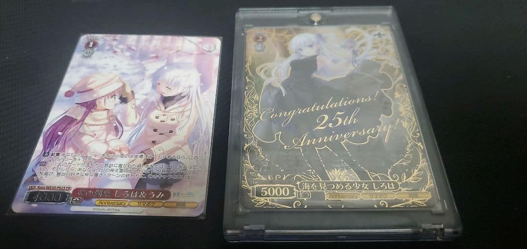ヴァイス　サマポケ　PR/プロモ　海を見つめる少女しろは　冬の到来しろは&うみ