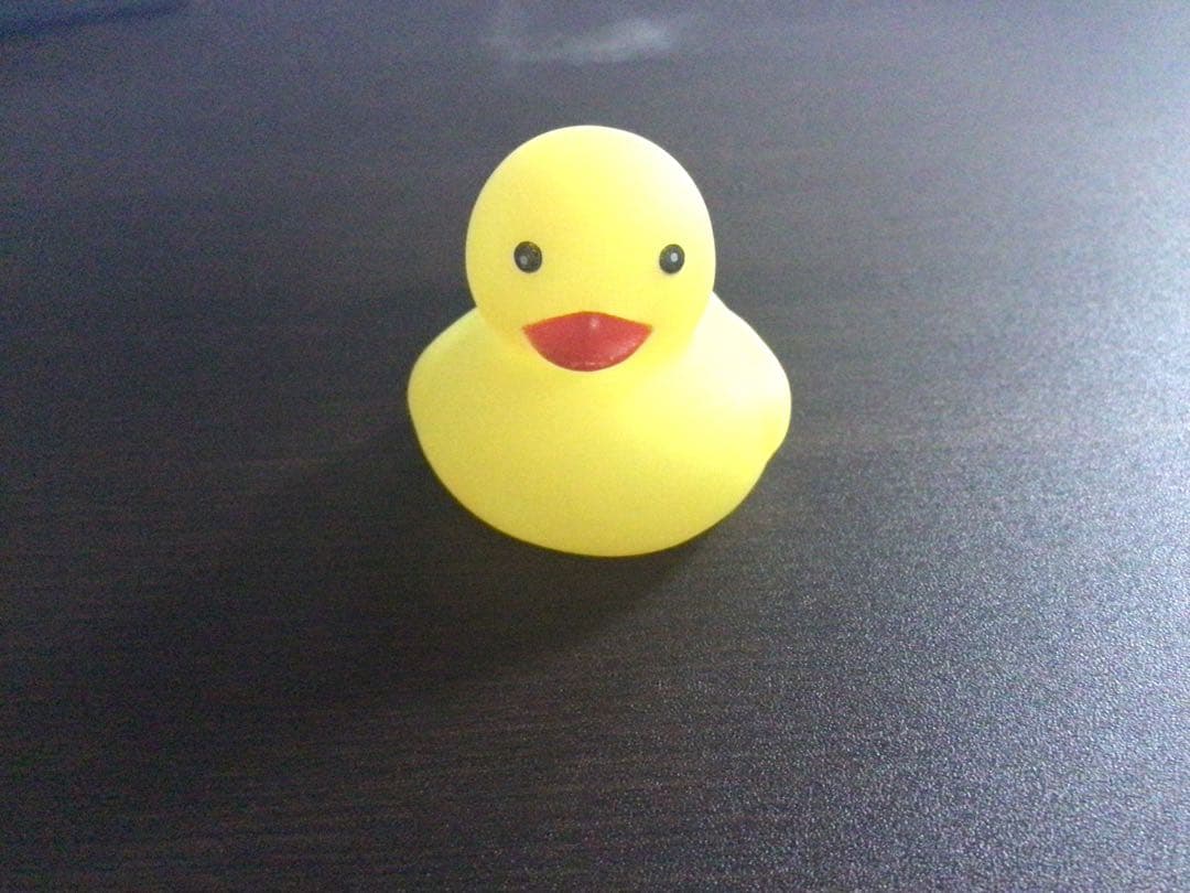 ひよこです。