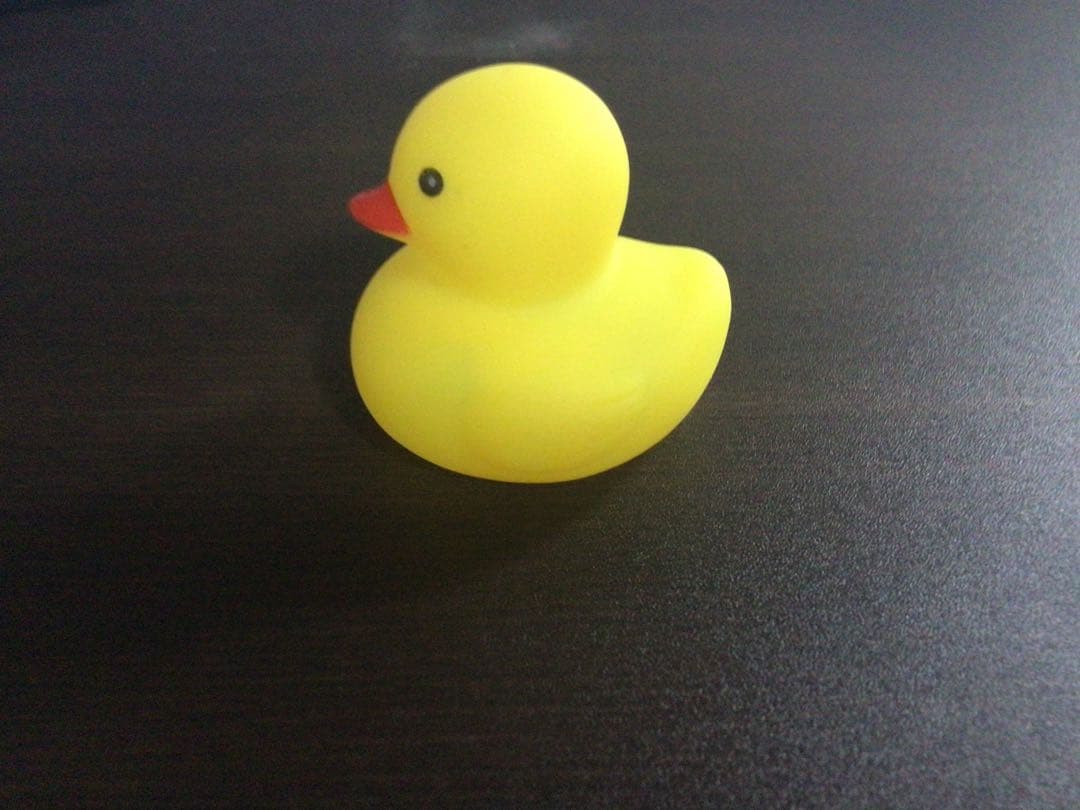 ひよこです。