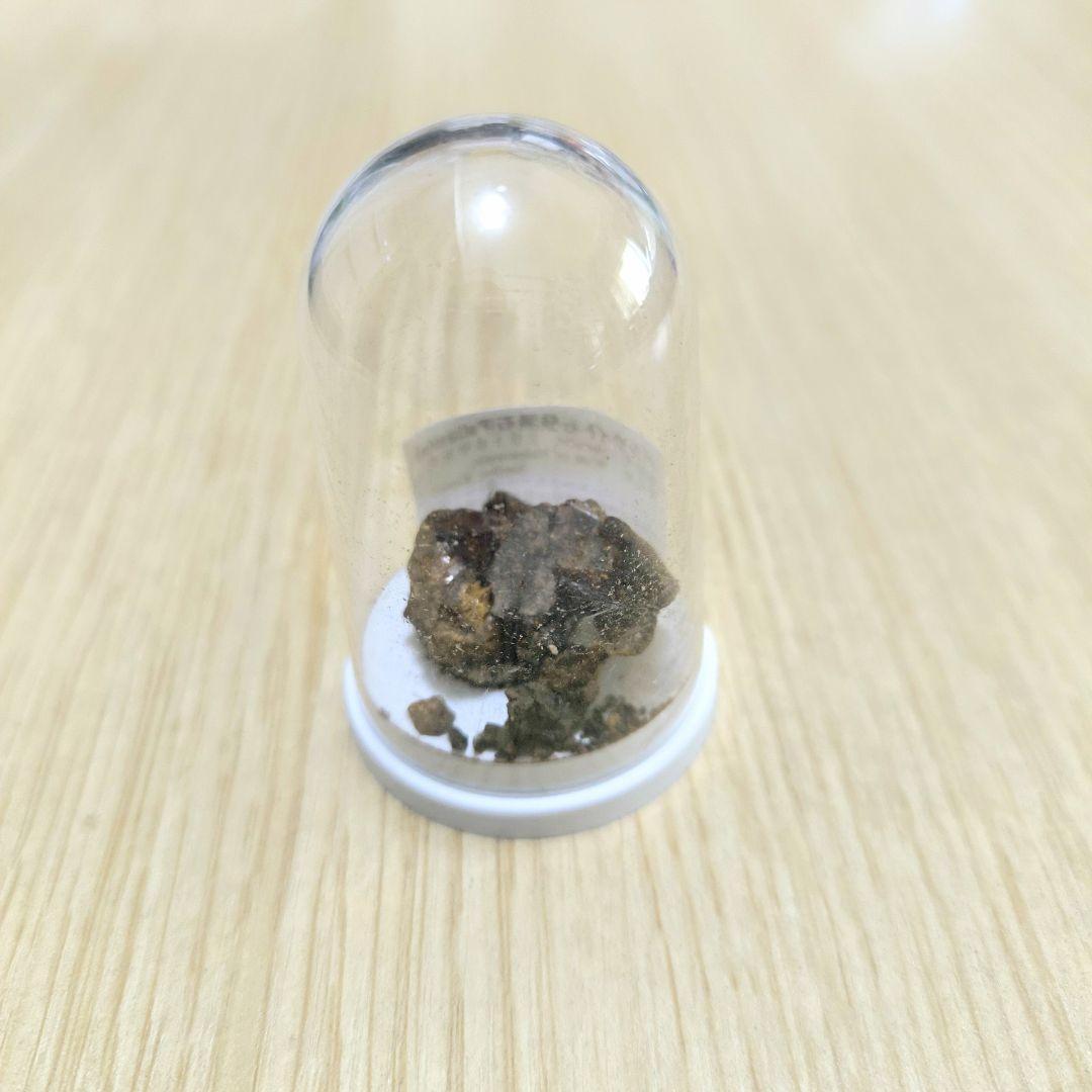 【希少】パラサイト石鉄隕石 (Pallasite) 標本 Sericho