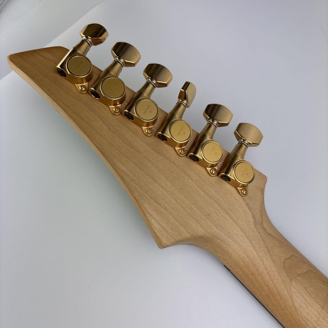 フェルナンデス Fernandes FGZ-400 エレキギター ソフトケース付