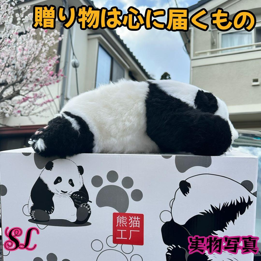 パンダ　リアルぬいぐるみ 3ヶ月パンダ　高級ぬいぐるみ　ファファ
