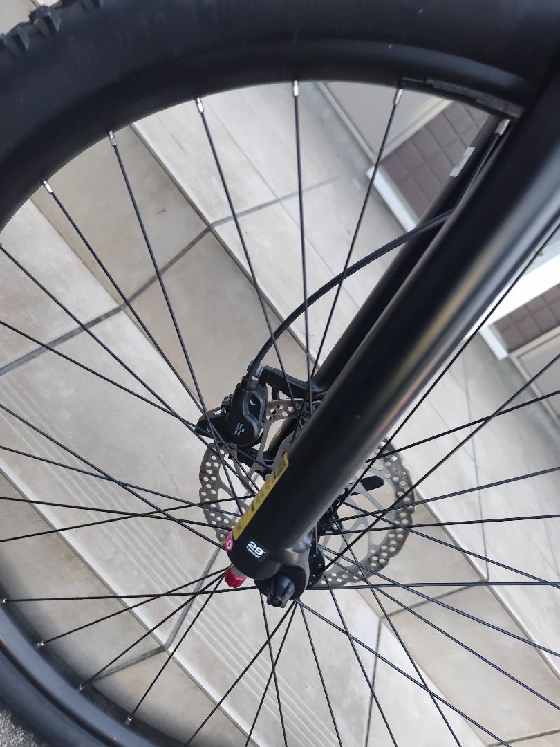 MTB MON　未使用に近い