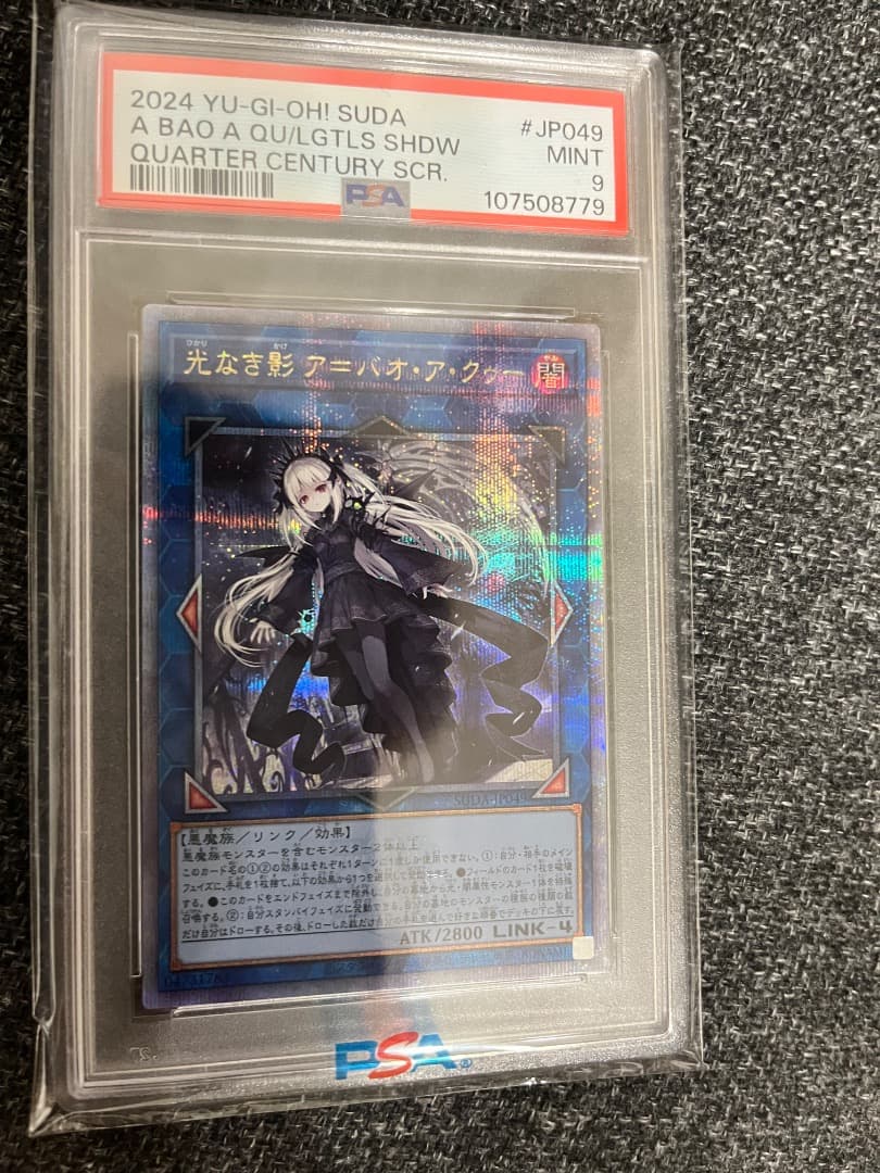 光なき影 ア＝バオ・ア・クゥー 25th psa