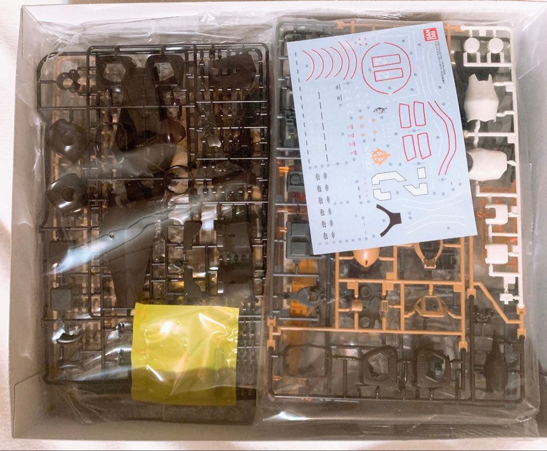 【PB限定】MG YMS-07 プロトタイプグフ