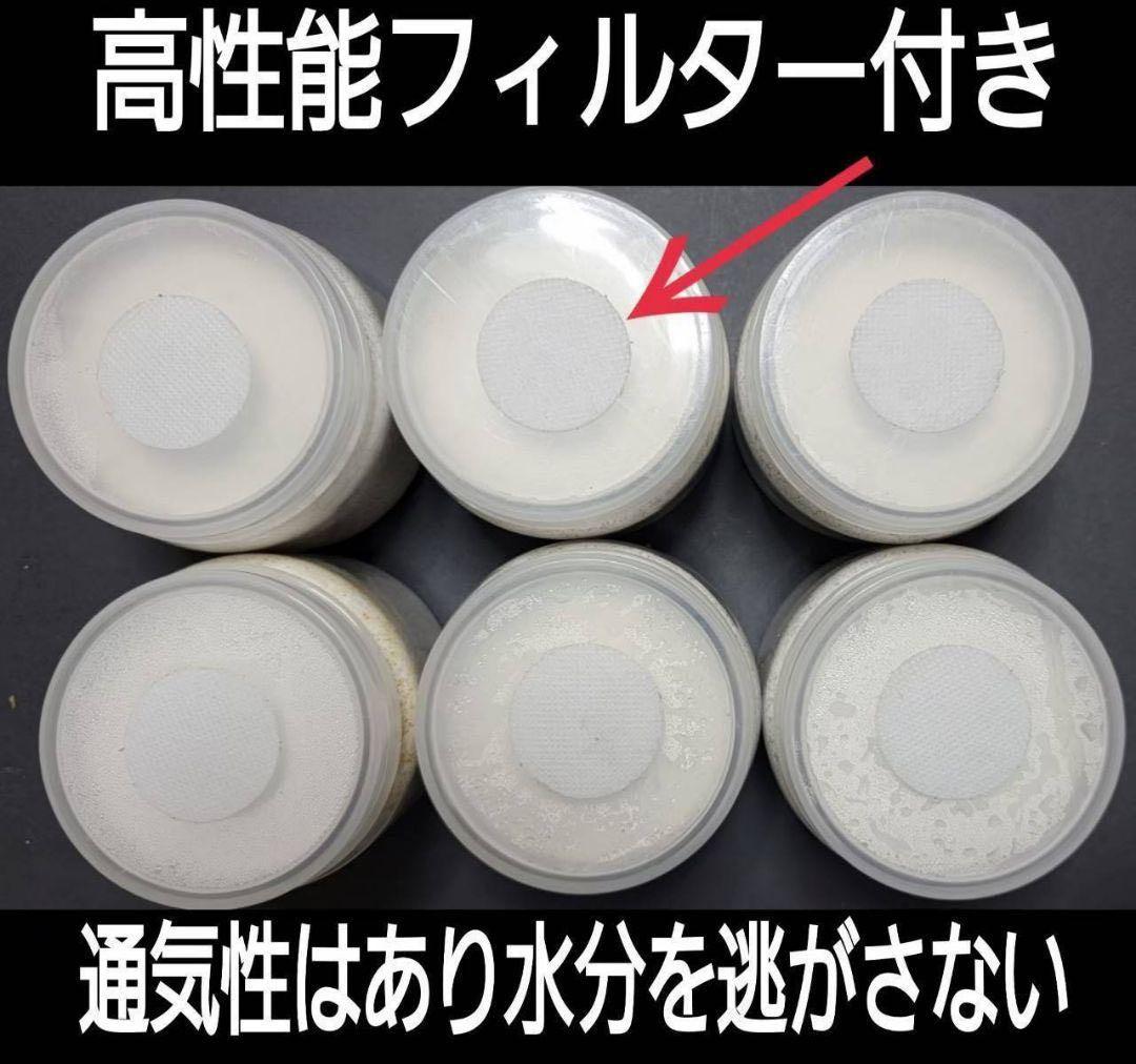 極上！カワラタケ菌糸瓶【10本】特殊アミノ酸強化配合！クワガタ幼虫全般に使えます