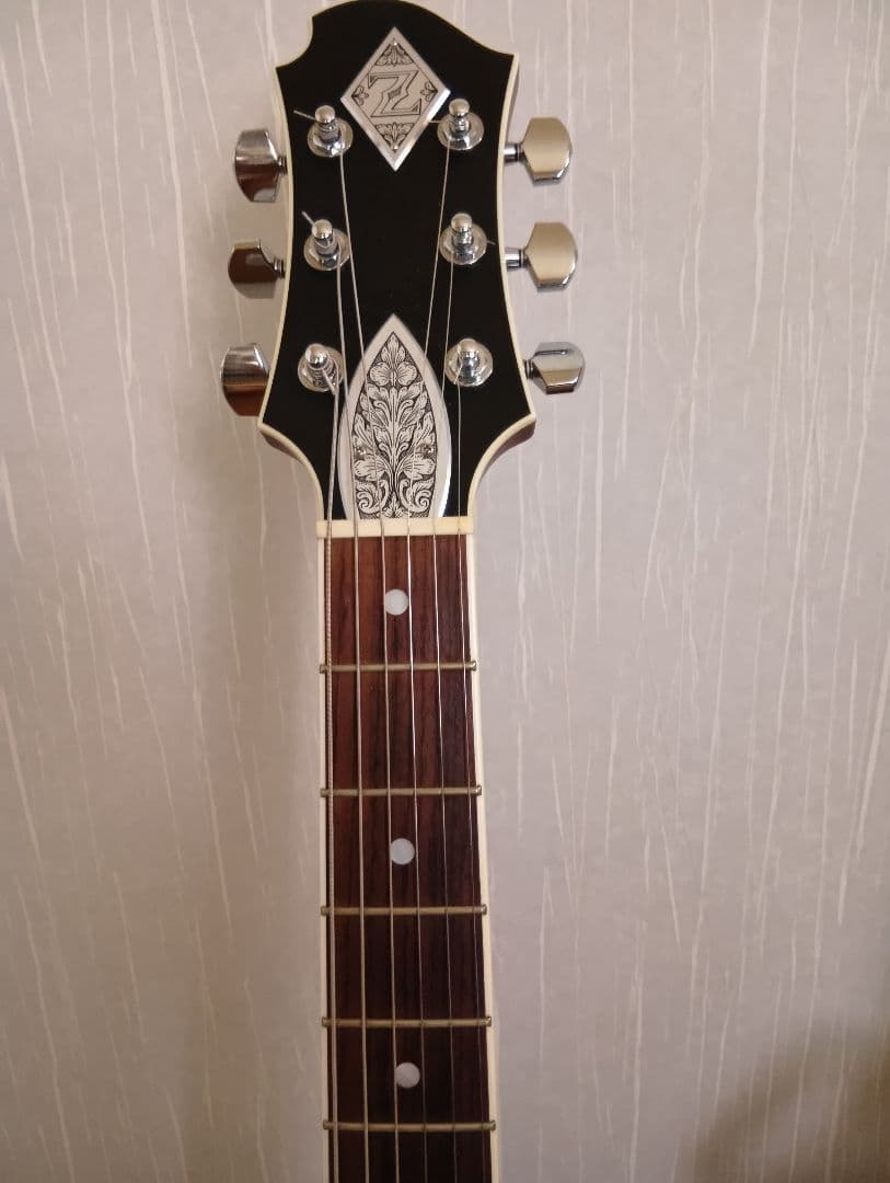 ゼマイティスA24SU NATURAL PEARL 純正ハードケース付き