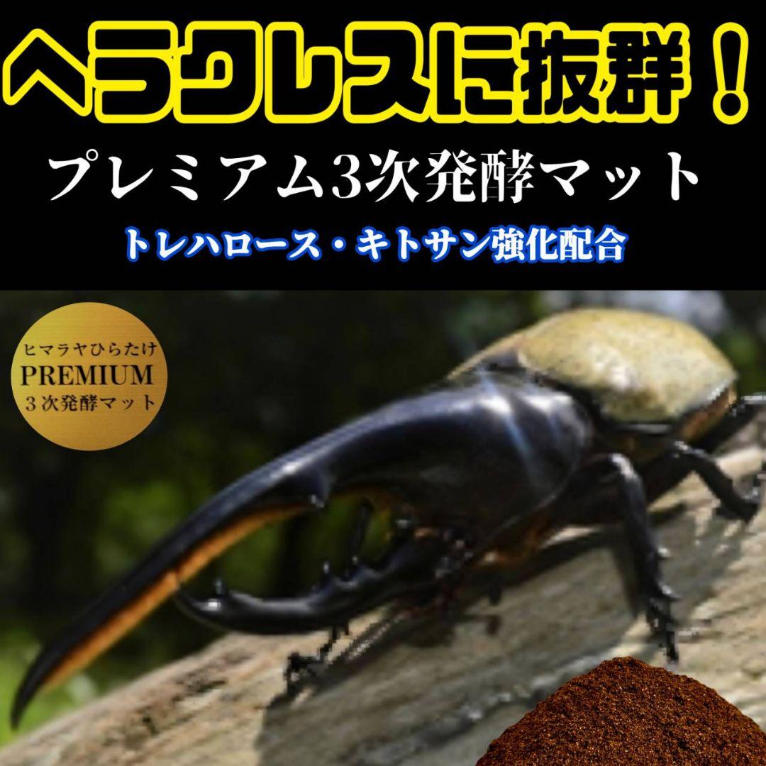 カブトムシ幼虫が巨大化！プレミアム3次発酵カブトムシマット【50L】産卵にも抜群