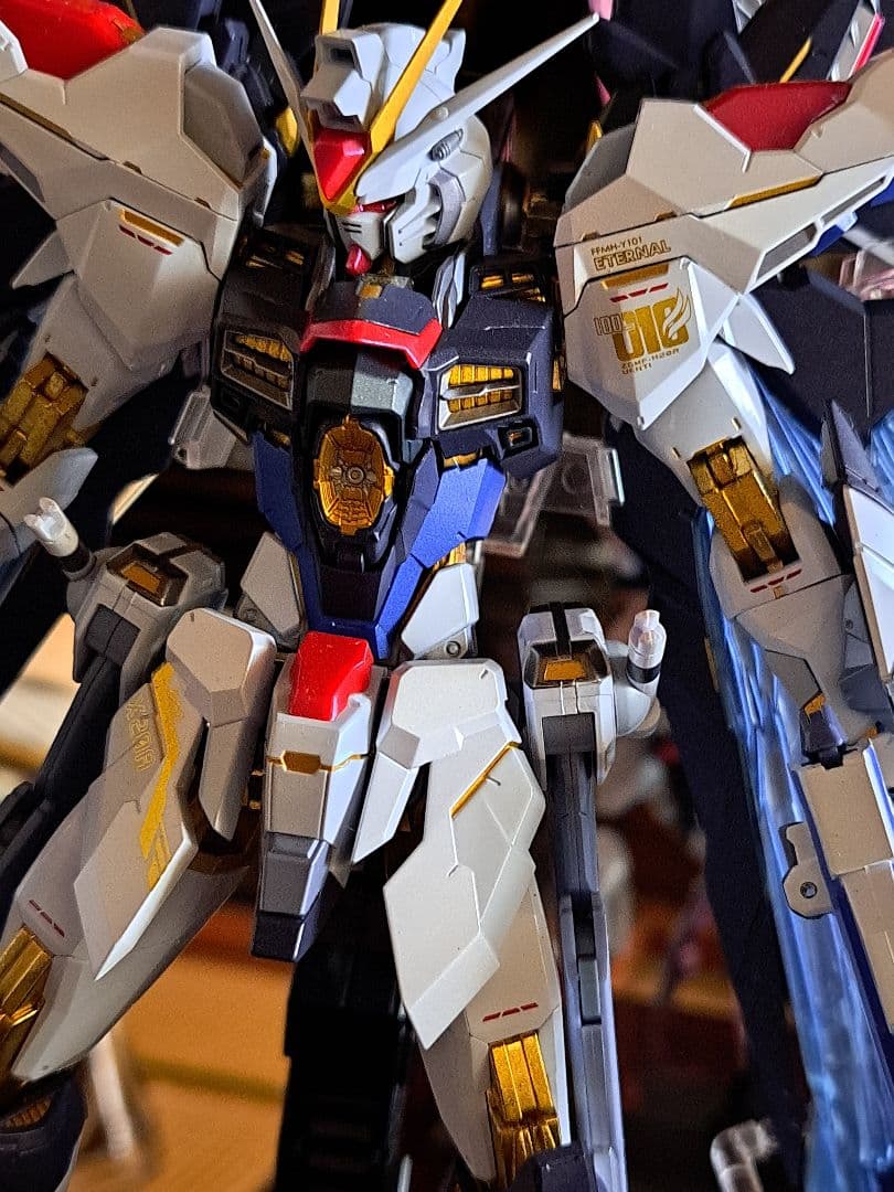 メタルビルド ストライクフリーダムガンダム&光の翼セット L BUILD