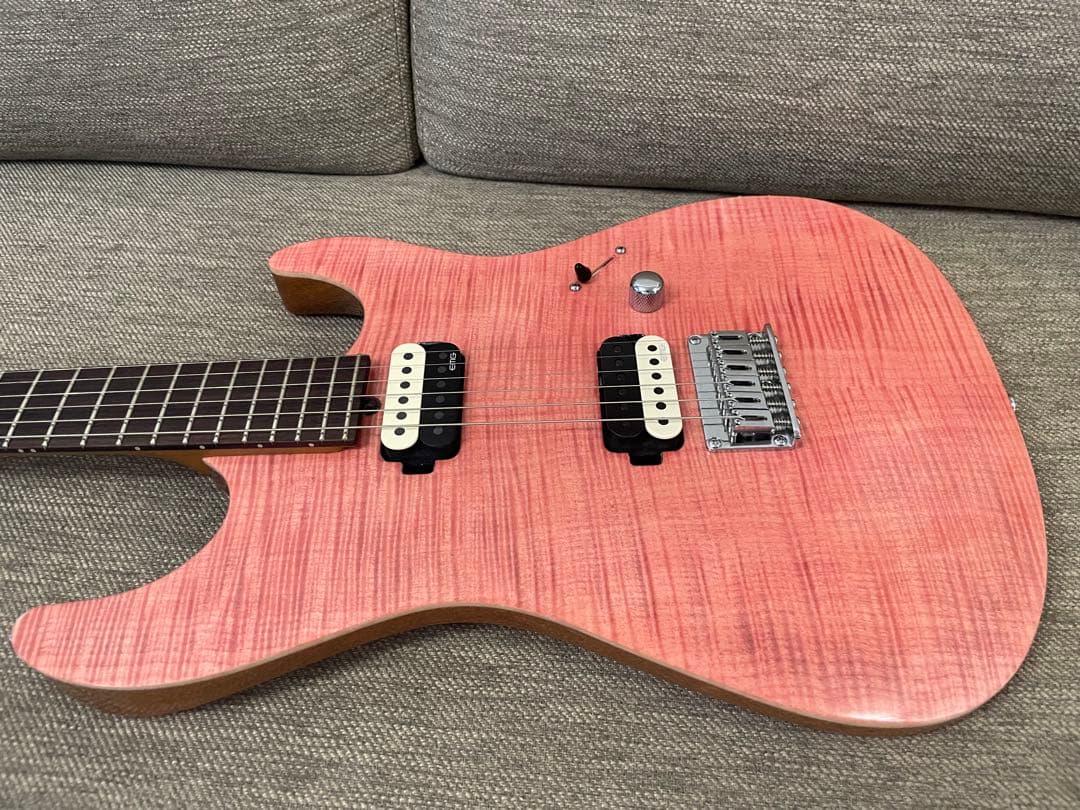 ギター T's guitars DST-22