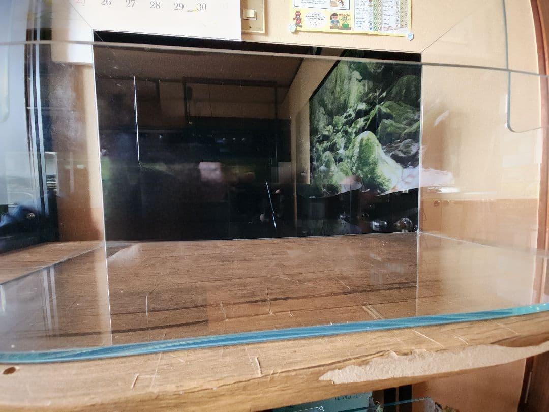 ADA DOOA　NEO GLASS TERRA H36