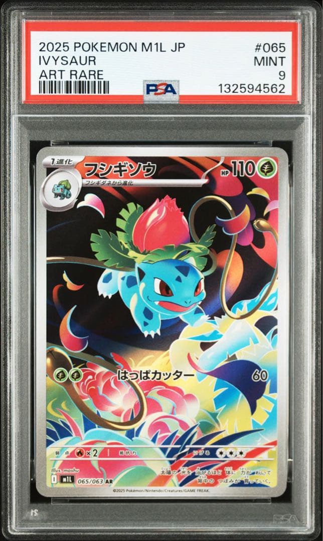 【連番】メガフシギバナex sa psa10