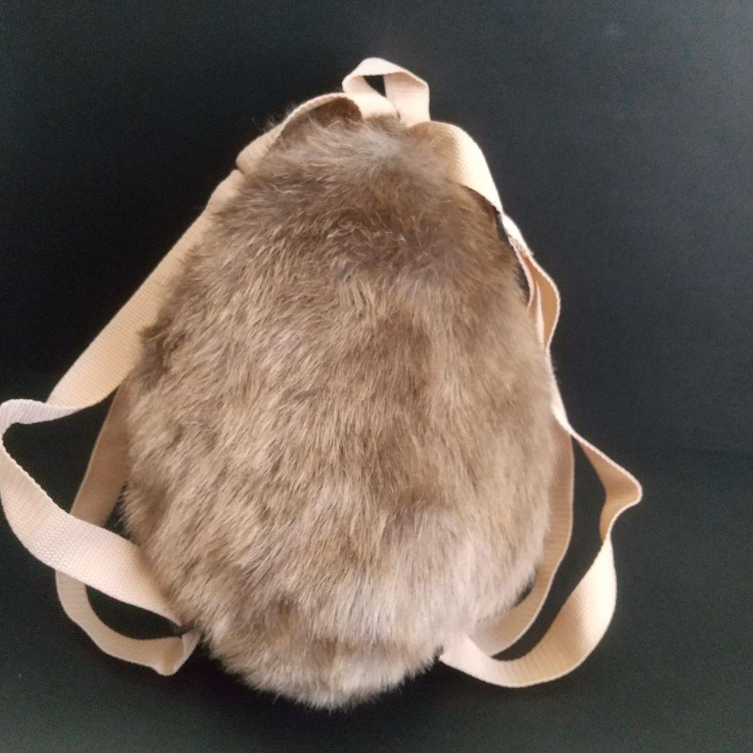 ラッコ