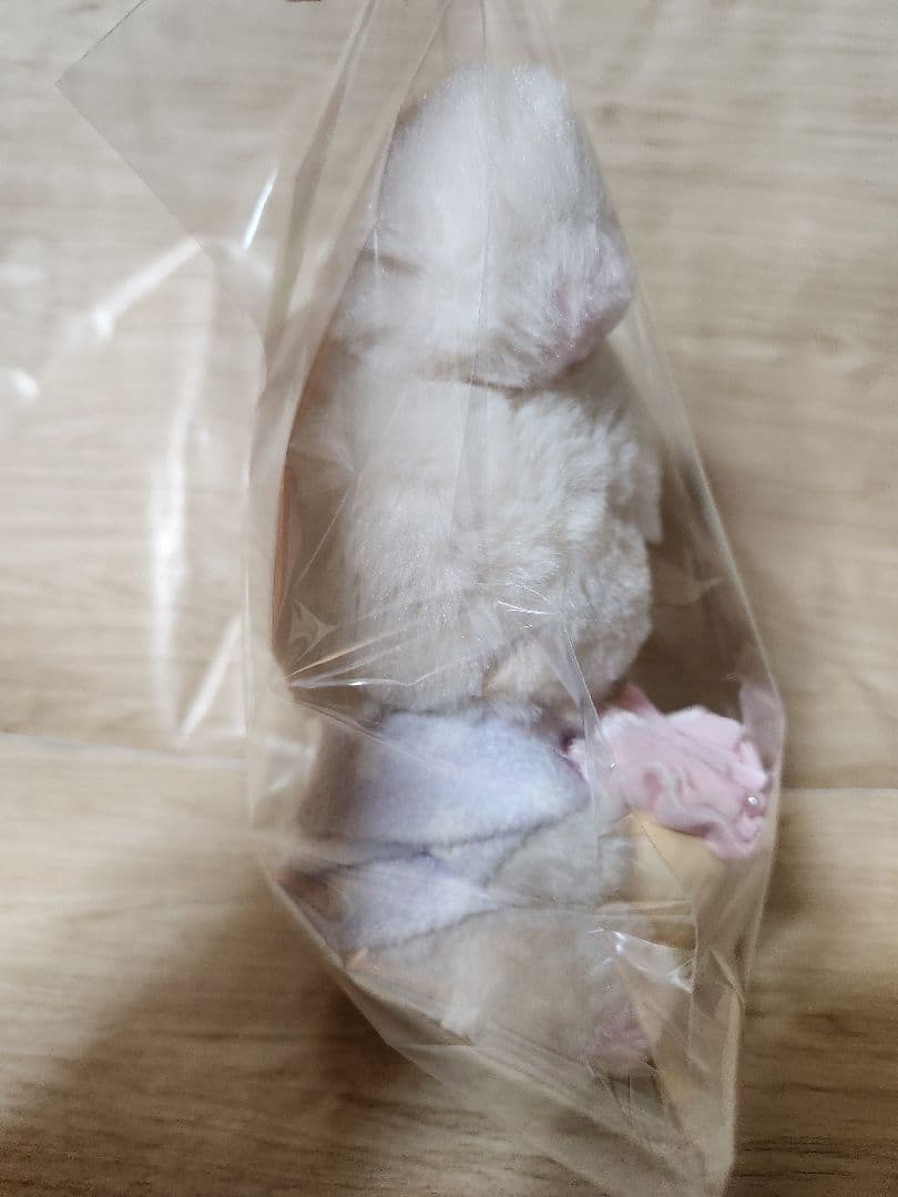 新品未使用✨コリラックマ　パジャマパーティー　ストア限定　(No.24)