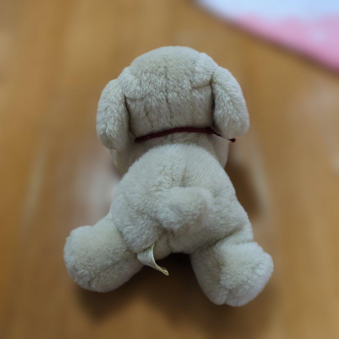 専用 ✽ うめ吉　寝そべりポーズ