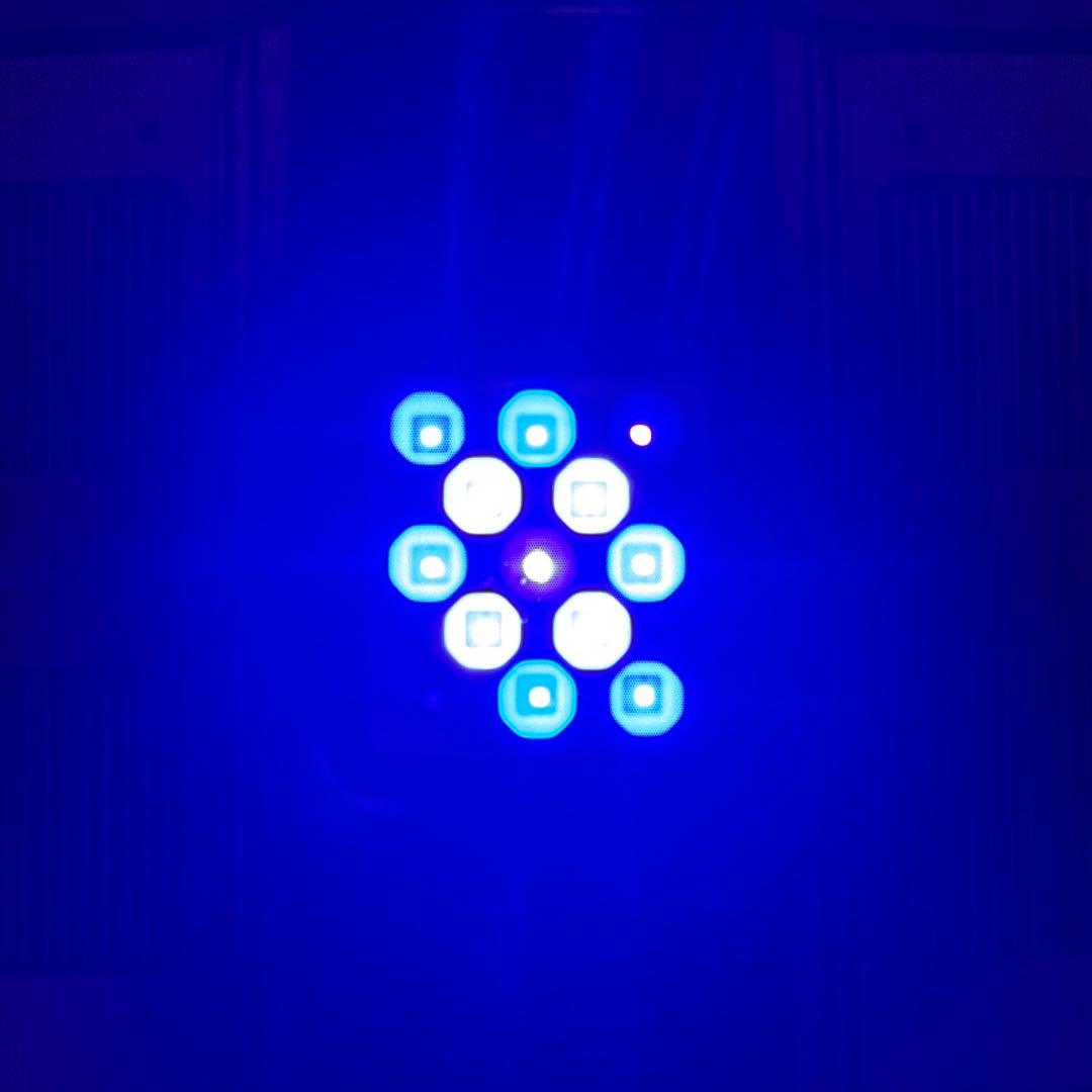 水槽用LED照明 maxspect R420R Nano