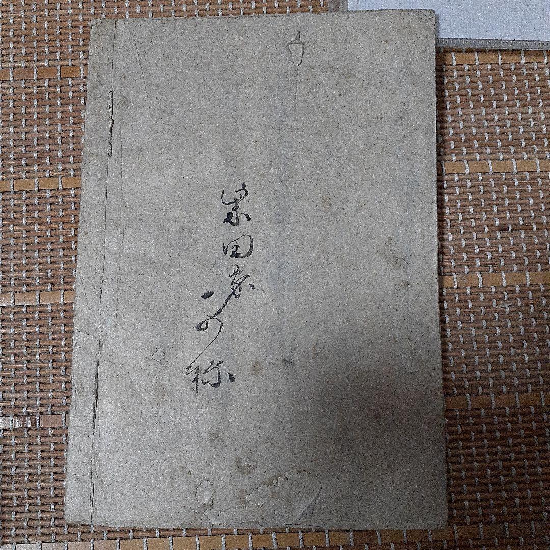 宝箱女大学