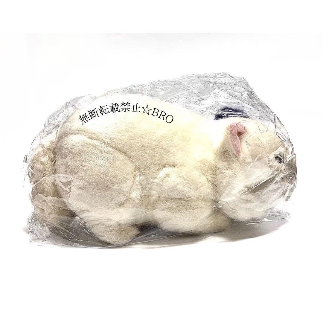 新品 タグ付き 超美品 ジブリ 耳をすませば ぬいぐるみ ムーン ①点