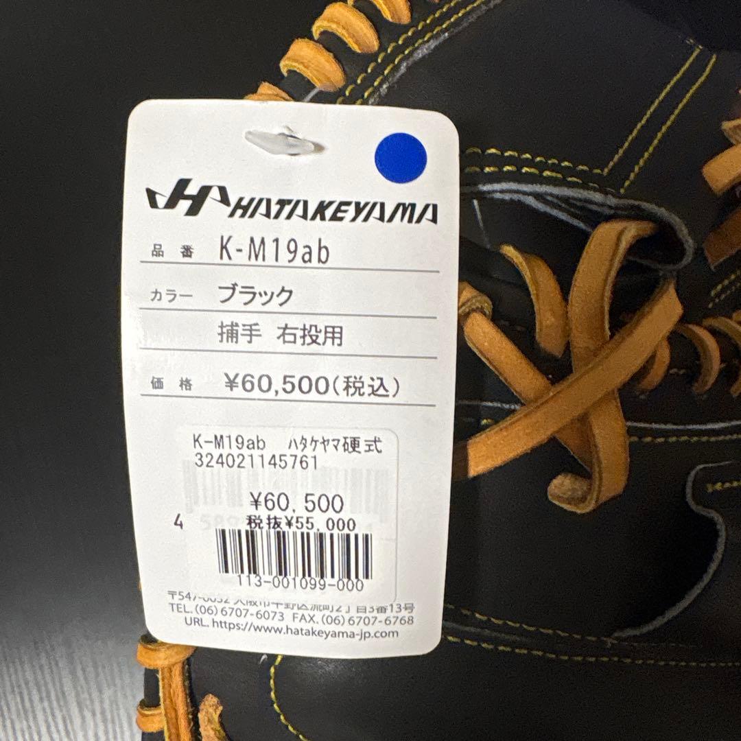 硬式ミット M19
