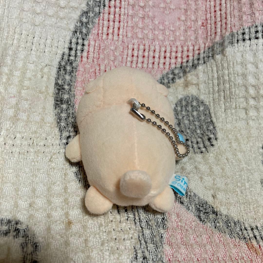クリエイティブ　ヨーコ　しろたん　ぬいぐるみ＆ボールチェーンマスコット色々セット